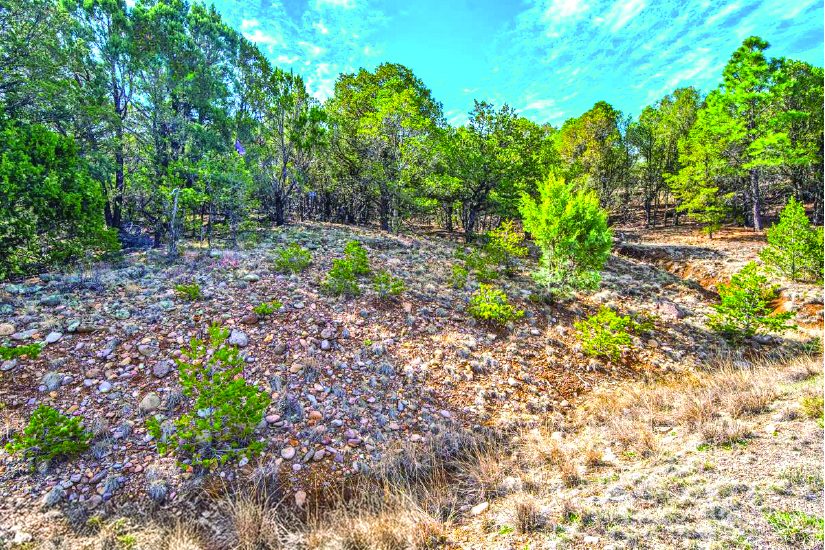 5.0 Acre Property — photo as printed in The Real Estate Roundup