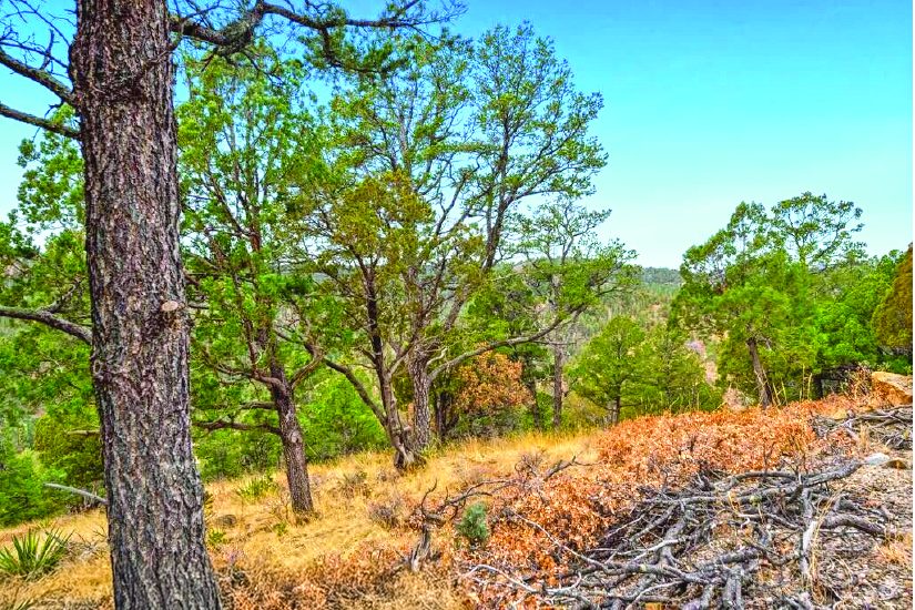 Property in Sierra Blanca — photo as printed in The Real Estate Roundup