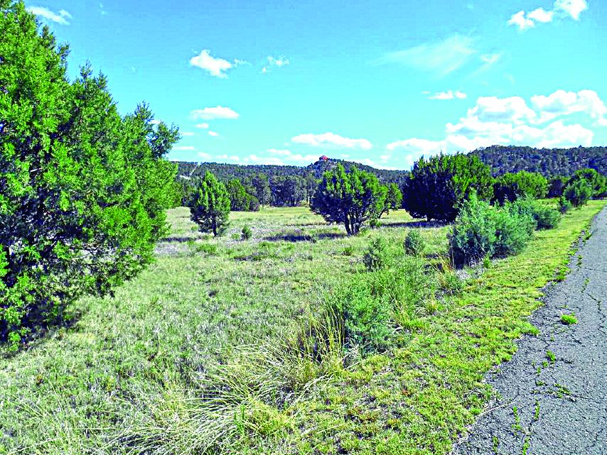5.0 Acre Property — photo as printed in The Real Estate Roundup