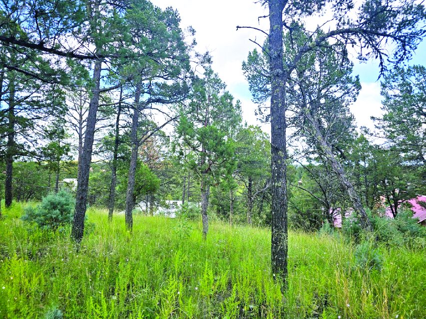 Property in White Mountain — photo as printed in The Real Estate Roundup