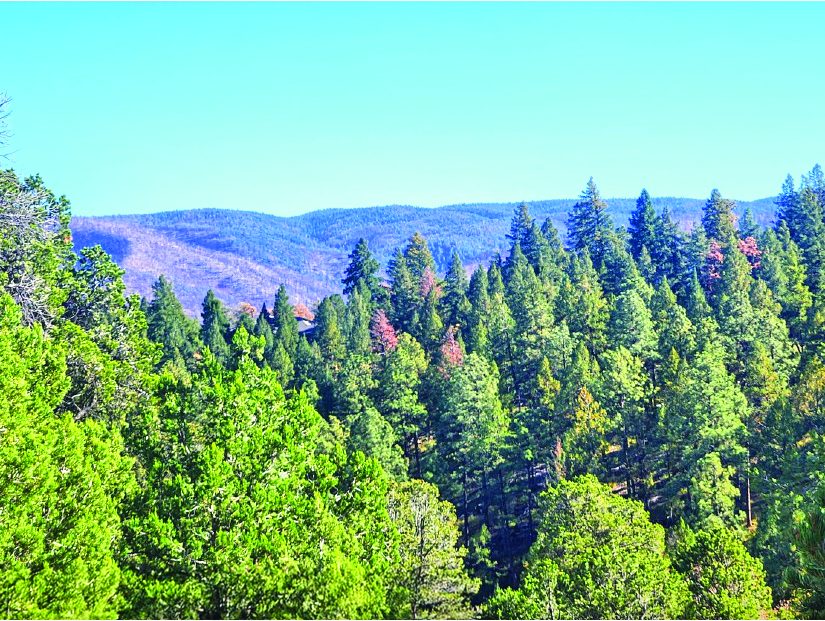 2.0 Acre Property in Ruidoso — photo as printed in The Real Estate Roundup