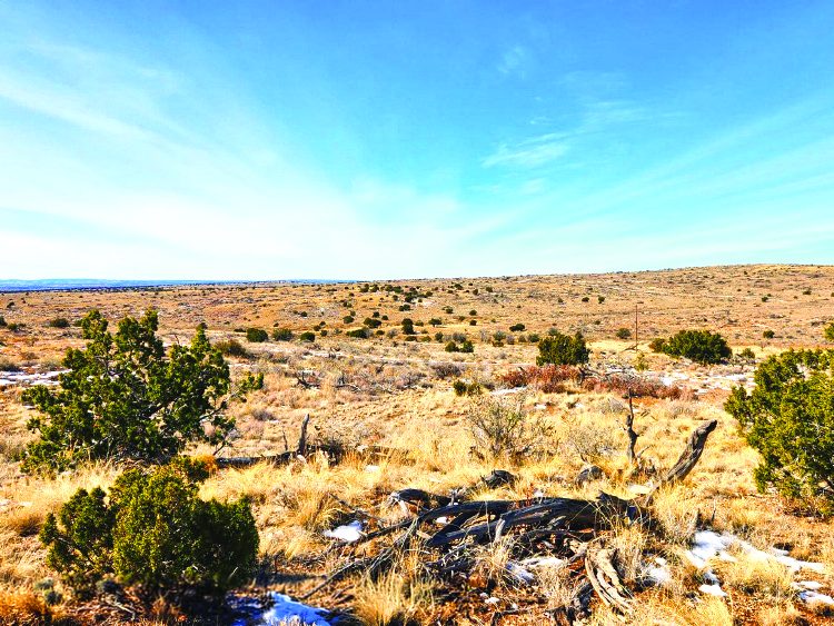 40.0 Acre Property in Ruidoso — photo as printed in The Real Estate Roundup