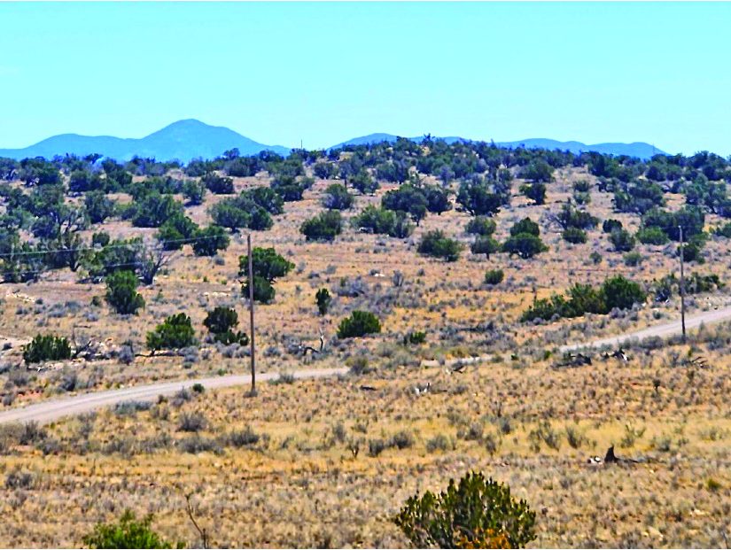 20.0 Acre Property — photo as printed in The Real Estate Roundup