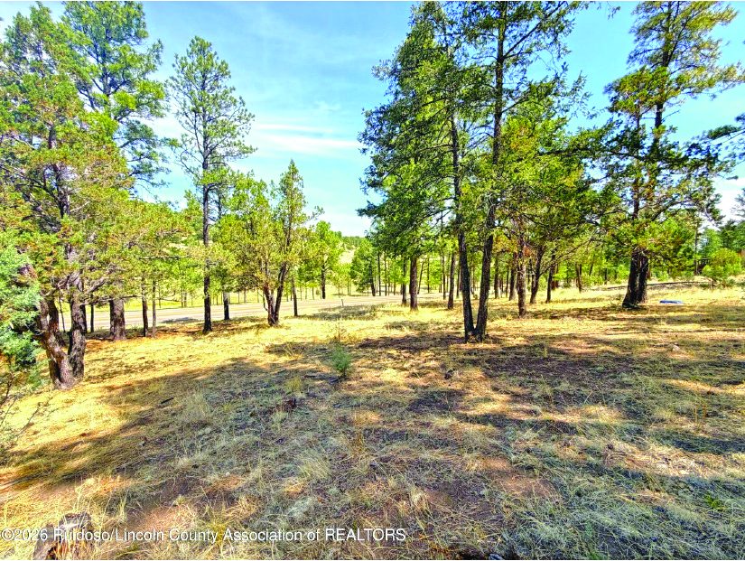 0.35 Acre Property in Alto — photo as printed in The Real Estate Roundup