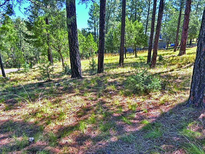 Property in Alto — photo as printed in The Real Estate Roundup