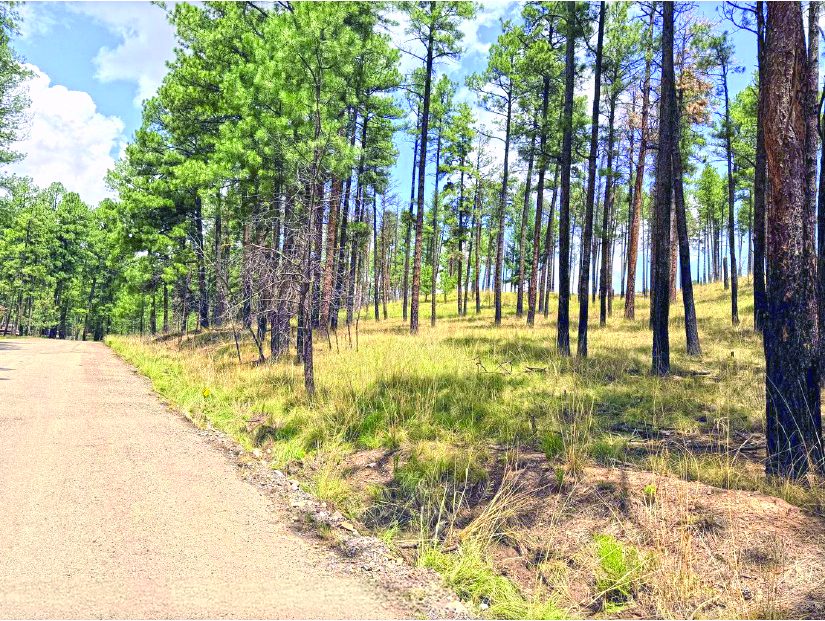 4.3 Acre Property in Ruidoso — photo as printed in The Real Estate Roundup