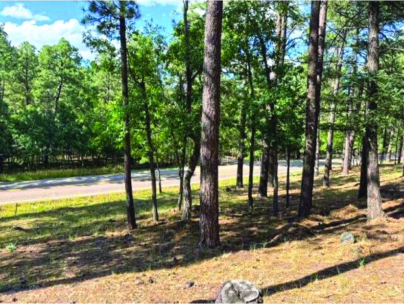 Property in Alto — photo as printed in The Real Estate Roundup