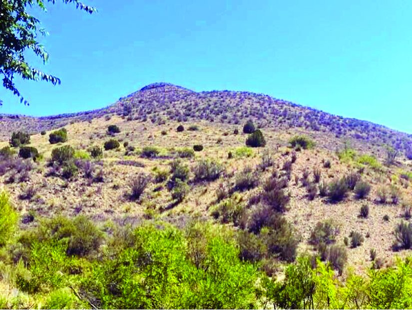 5.8 Acre Property — photo as printed in The Real Estate Roundup
