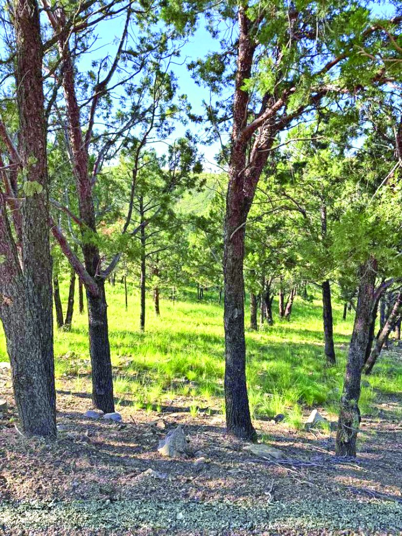 Property in Ruidoso — photo as printed in The Real Estate Roundup