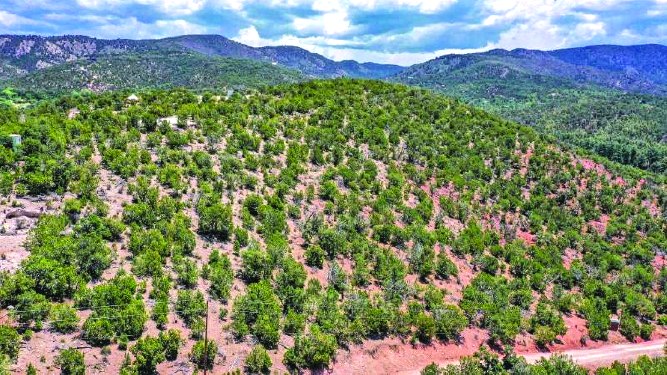00 Deer Haven Rd — photo as printed in The Real Estate Roundup