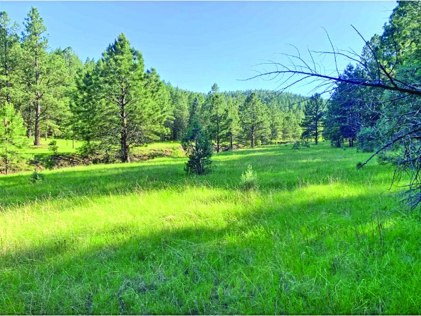 Property in Sixteen Springs — photo as printed in The Real Estate Roundup