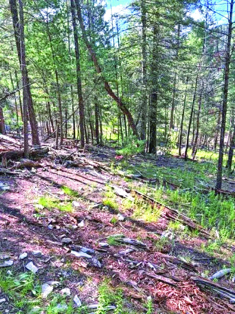 0.565 Acre Property in James Canyon — photo as printed in The Real Estate Roundup