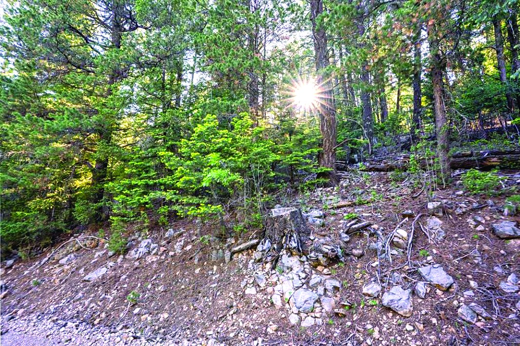 00 Aspen Trail, Cloudcroft NM — photo as printed in The Real Estate Roundup