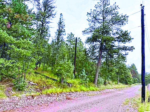 207 Bell Canyon Rd — photo as printed in The Real Estate Roundup